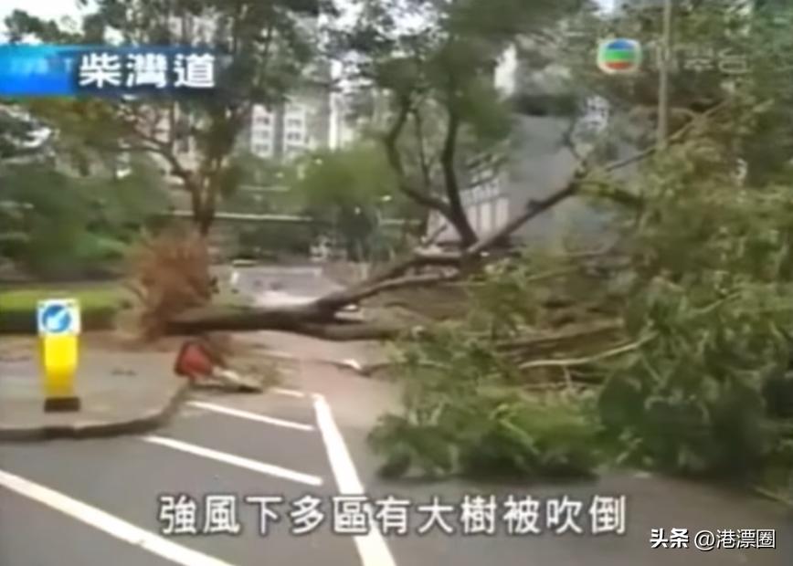 一天丢1.8万亿！今天全港人都被他坑了