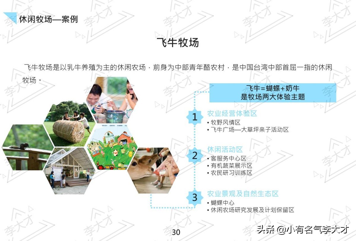 台湾乡村振兴战略案例,中国乡村振兴实施的成功案例