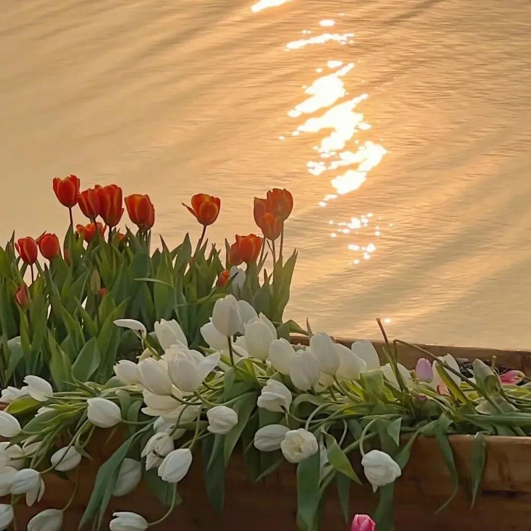 自我兴趣爱好特长,如何提升自我兴趣爱好