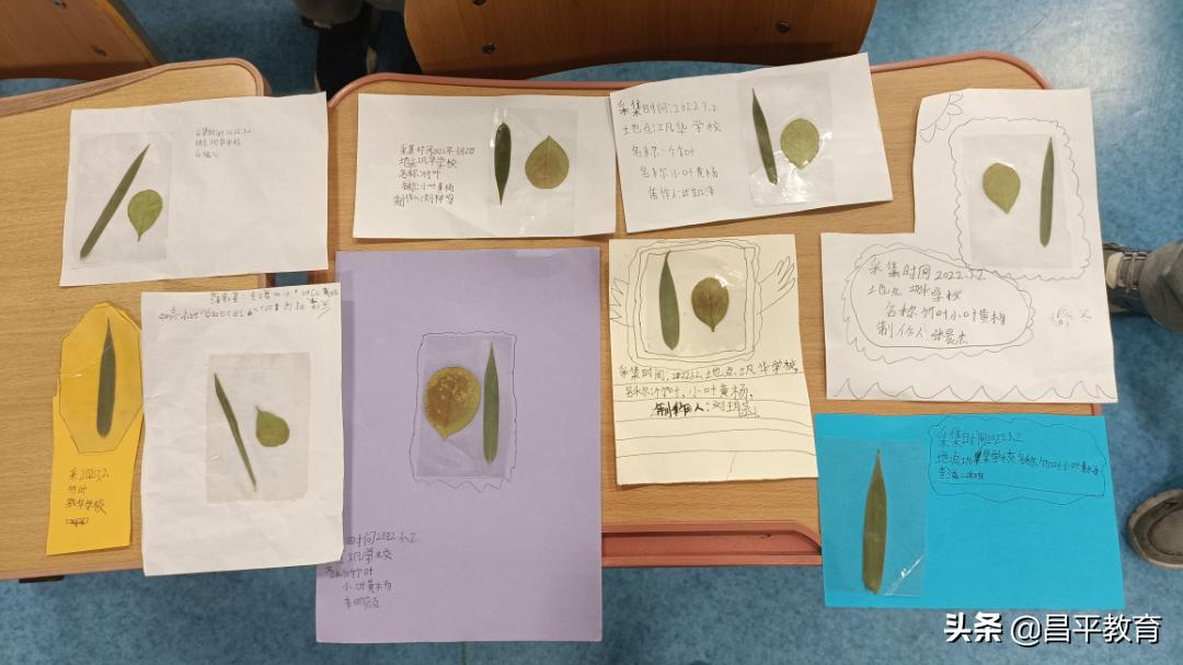 90多门课程助力巩华娃学足学好