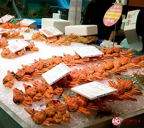 鸟取岛根景点推荐,鸟取沙丘风景区