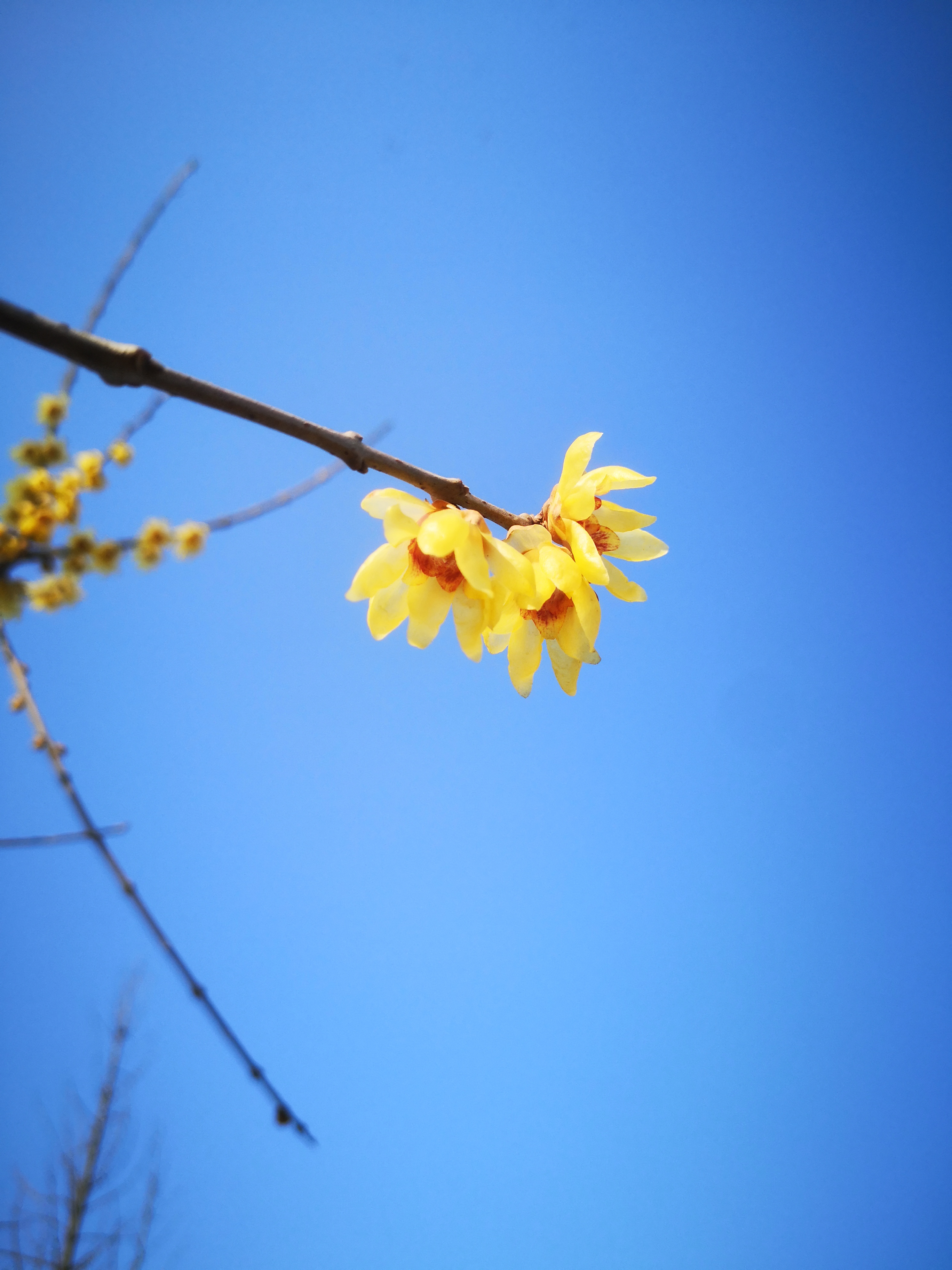 孔明的散文,作家孔明的写人散文