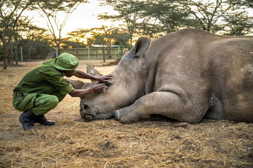 墨西哥农妇用菜刀自行剖腹产,墨西哥产妇照片