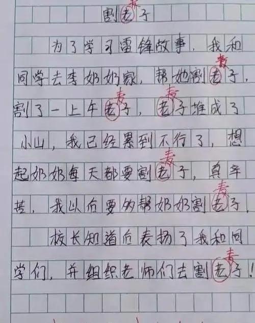 我的小姨的作文400字,三年级我的小姨作文450字