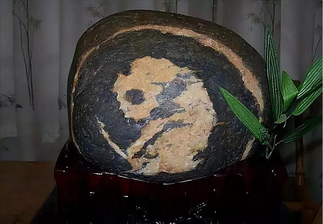 熊猫奇石价值上亿,青岛男子捡到熊猫奇石