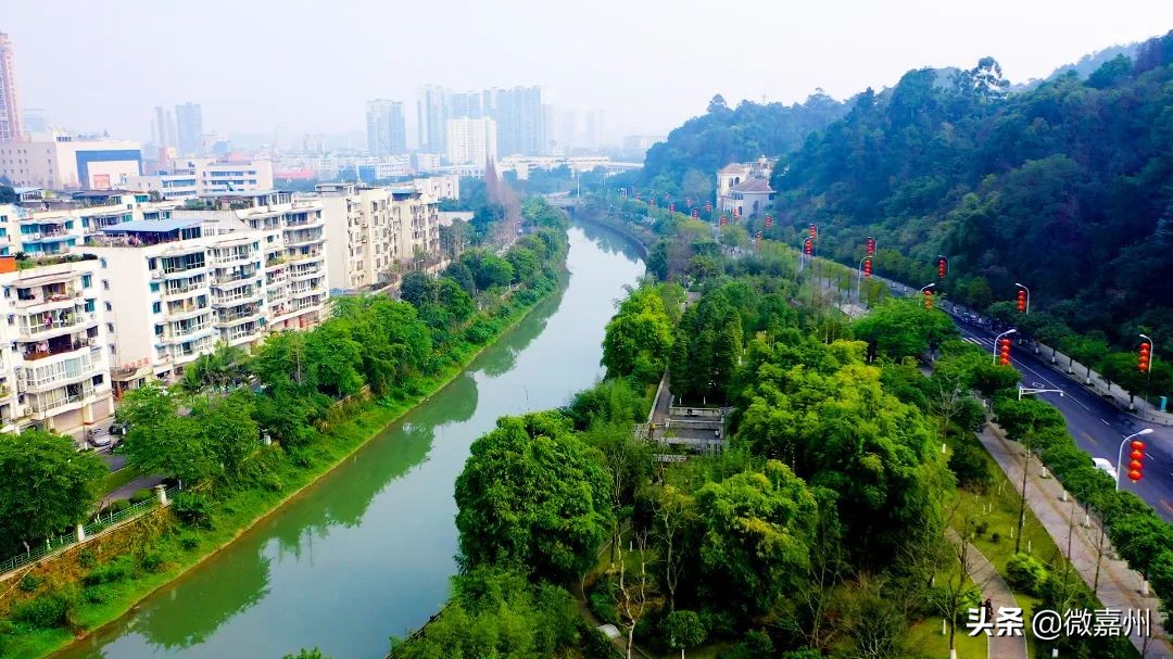 我为巴中农村产品代言,我为家乡代言四川恩阳演讲稿