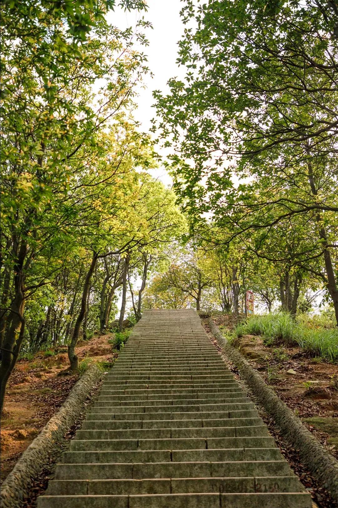 深圳最值得爬的景点,深圳十大最值得爬的山