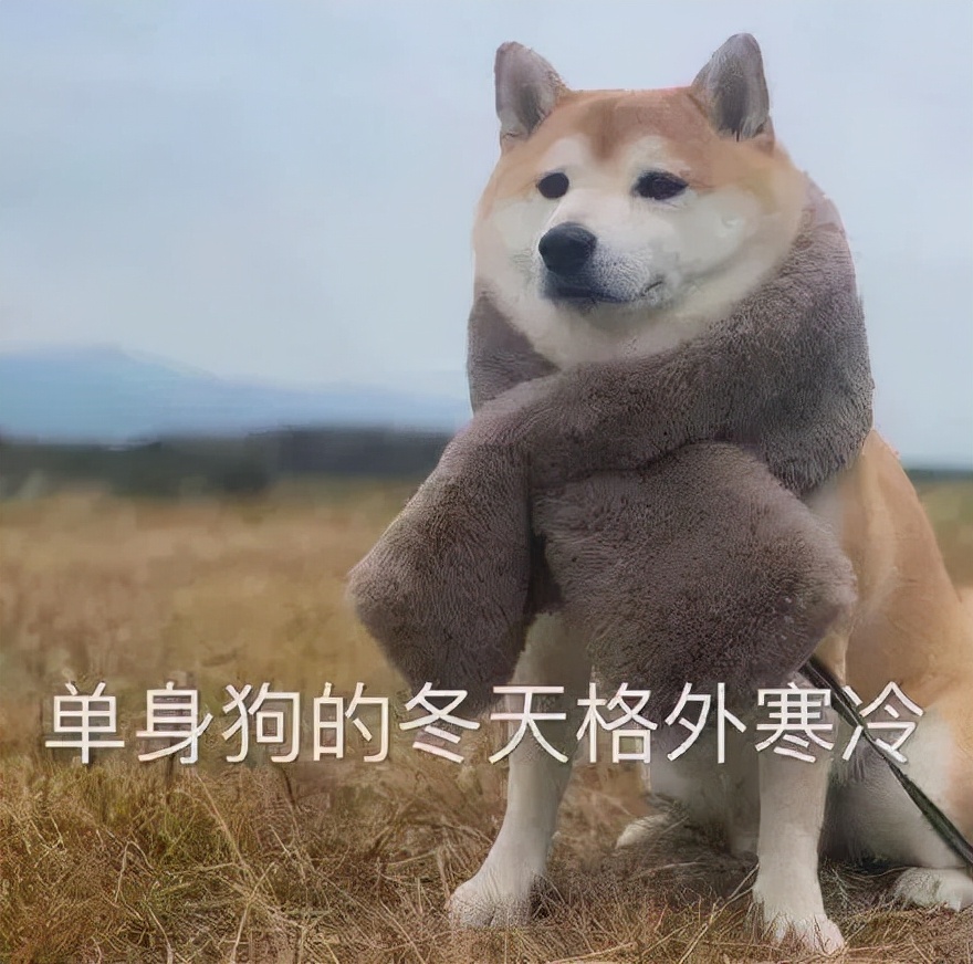 你说不喜欢我表情包我就删了,你为什么把我删了表情包