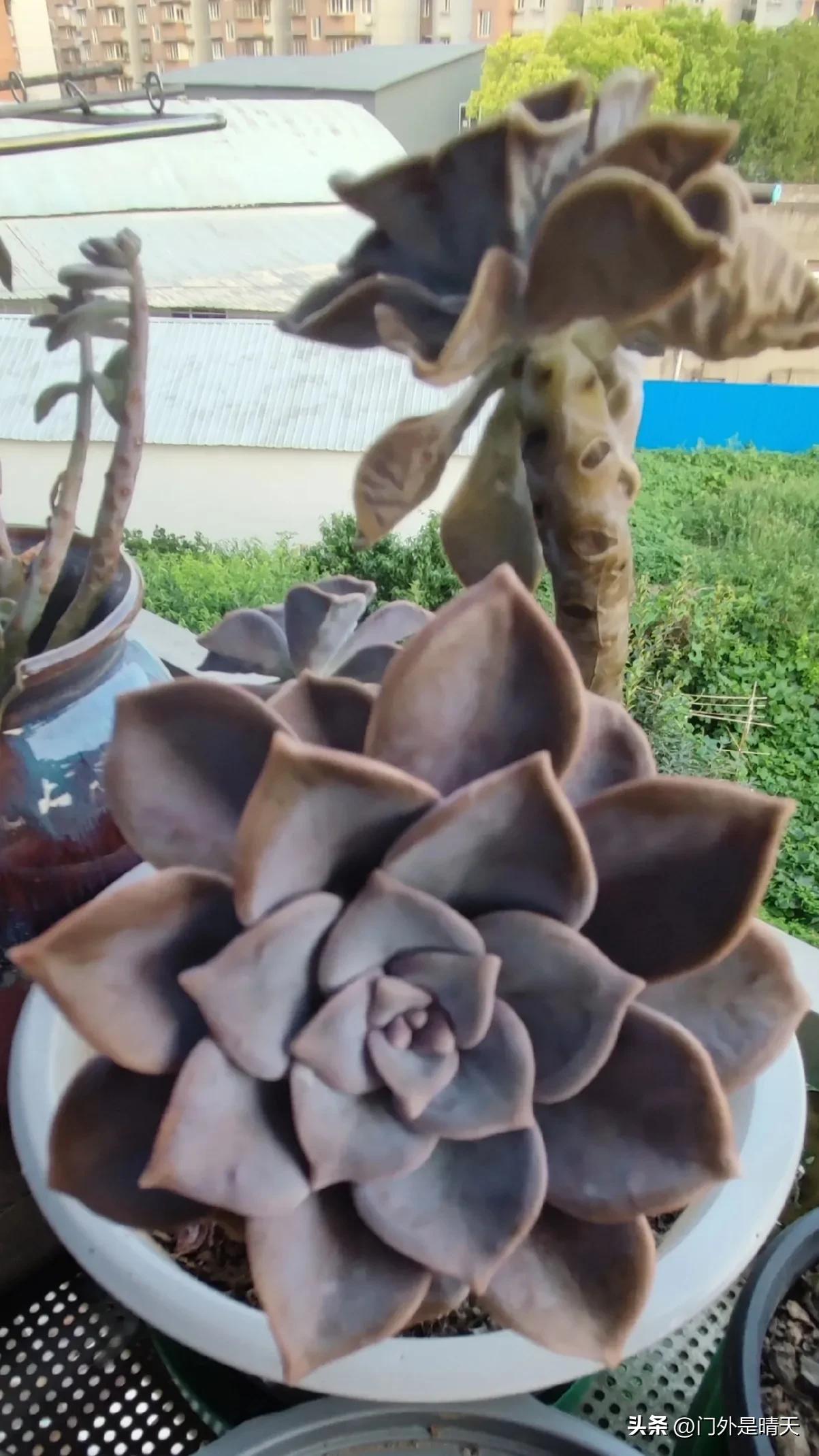 对不开心的工作说再见,不开心的工作怎么选择