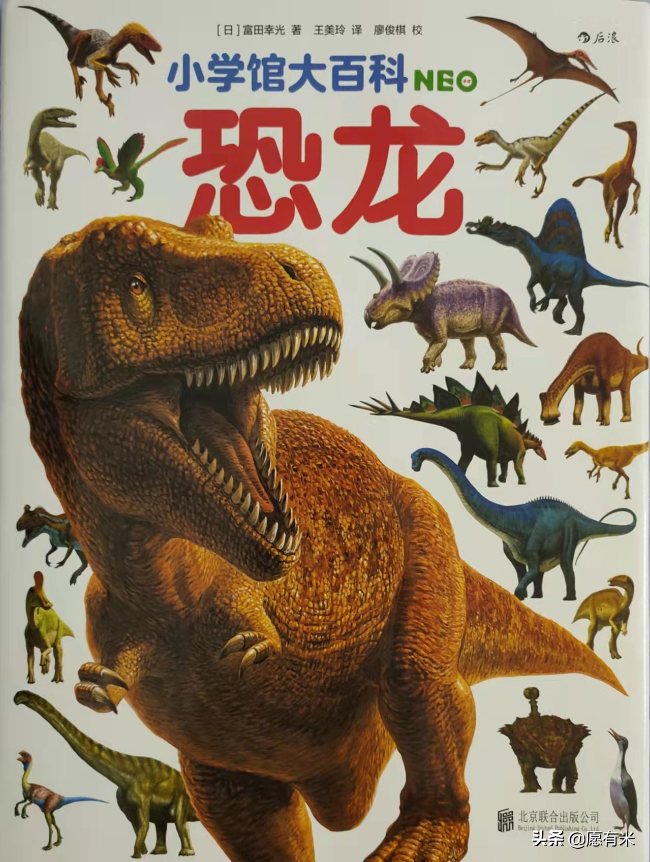 恐龙大百科之各种各样恐龙,恐龙世界最强大的恐龙的图片