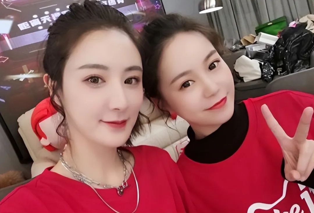 关于薇娅偷逃税款的看法,薇娅偷逃税事件最全梳理