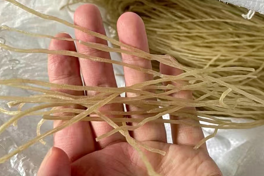 315假粉条,315打假红薯粉条真实场面