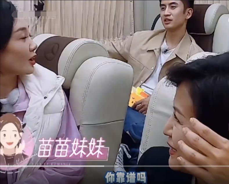 郑钧评价苗苗扮猪吃老虎,苗苗评价郑钧刘芸