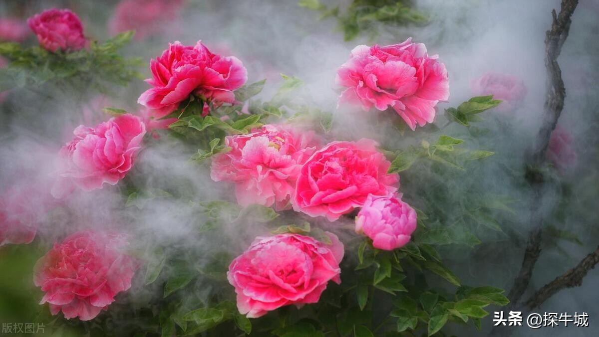 邢台有几个县和地级市,邢台市所有县城的名称