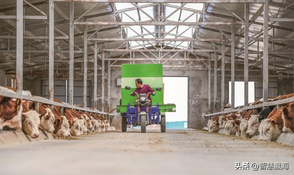 大美中国走进宁夏固原,宁夏固原简介