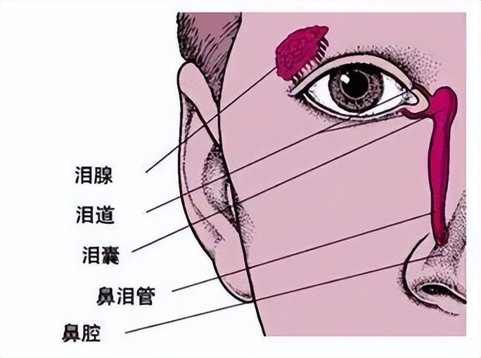 为什么无故流眼泪,小孩经常无故流眼泪是怎么回事