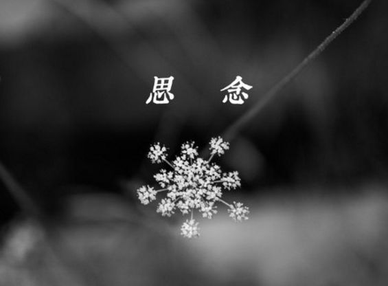 如果老公去世了，“你”会选择怎样度过余生？