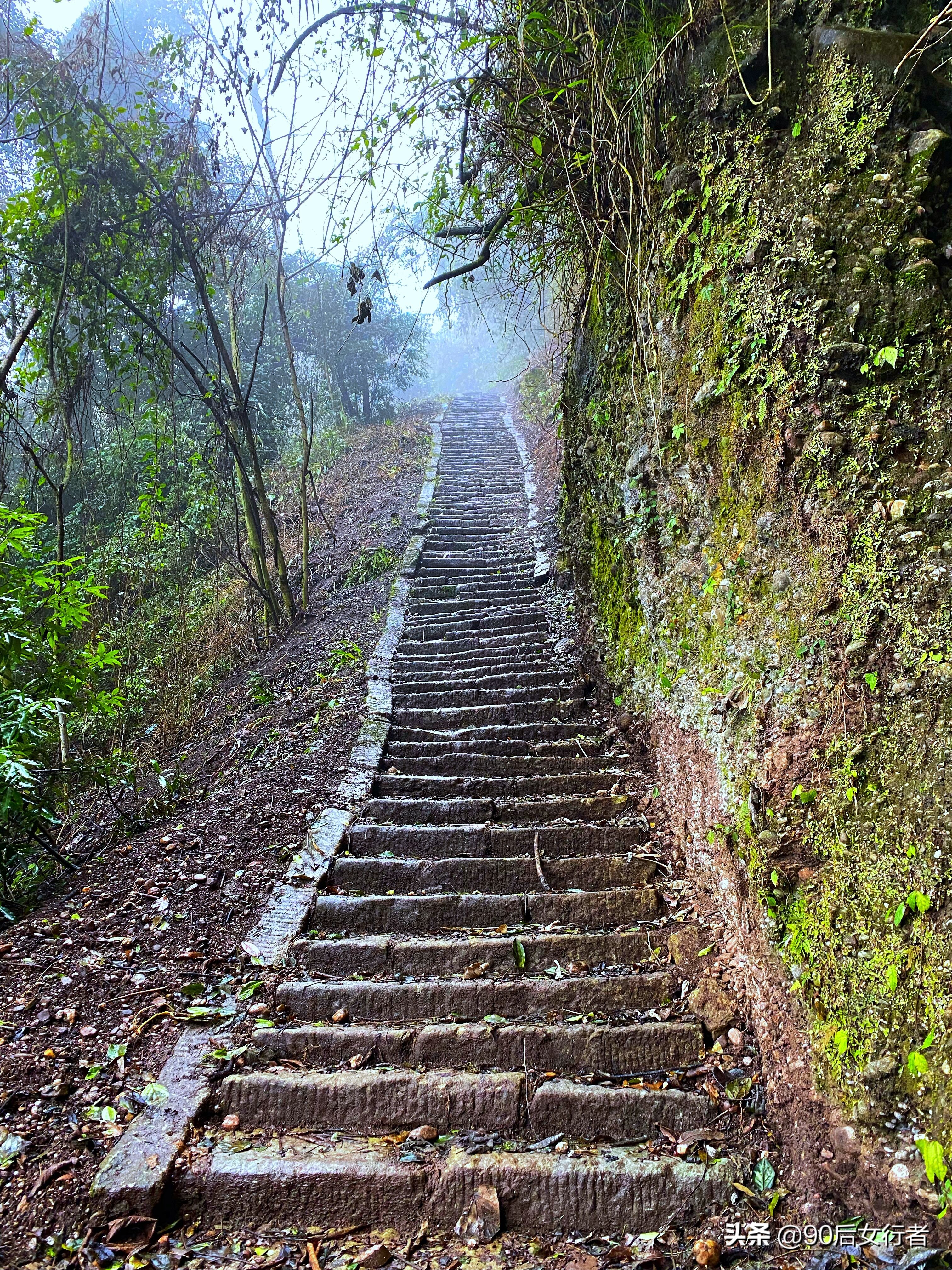 下雨天去拜访师傅合适吗,雨天去青城山