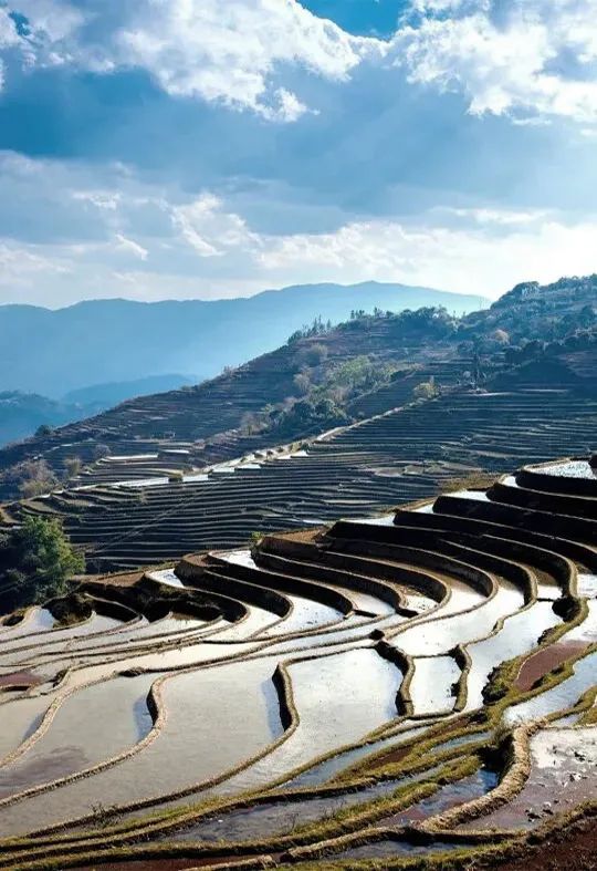 TDD.L案例｜昆明翠湖亚朵酒店：随遇而安，心之所向