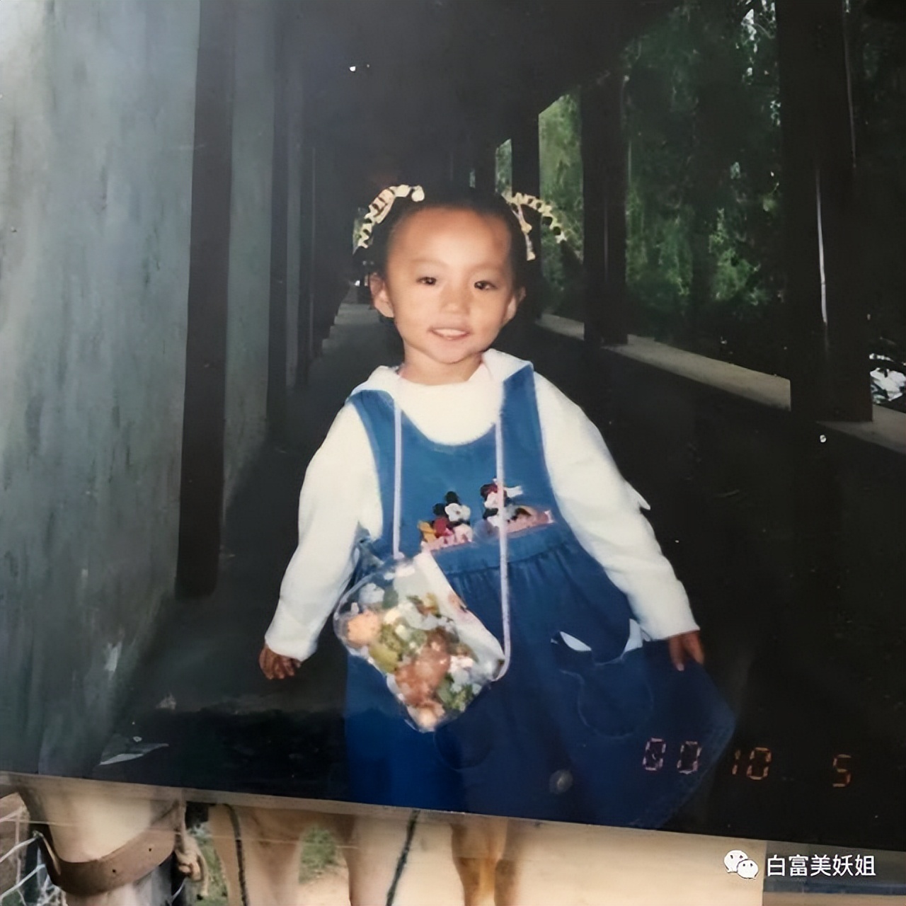 一年涨1000万粉丝的网红,19年瞬间涨粉1000万的网红