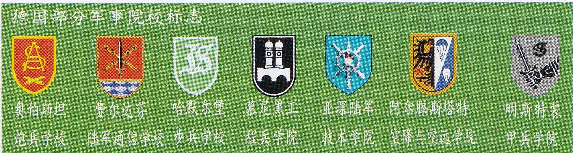 现代德国陆军装备车辆,德国陆军装甲师军标