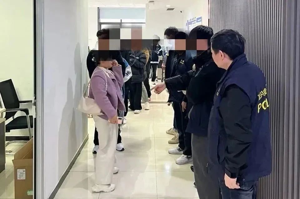 视频全网vip靠谱吗,视频vip一号通