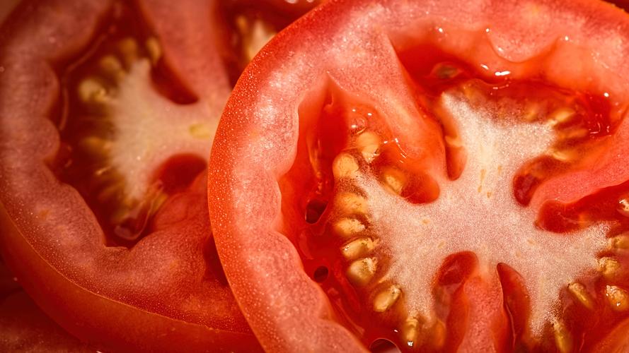 阿塔卡马沙漠的位置图,阿塔卡玛沙漠有什么植物