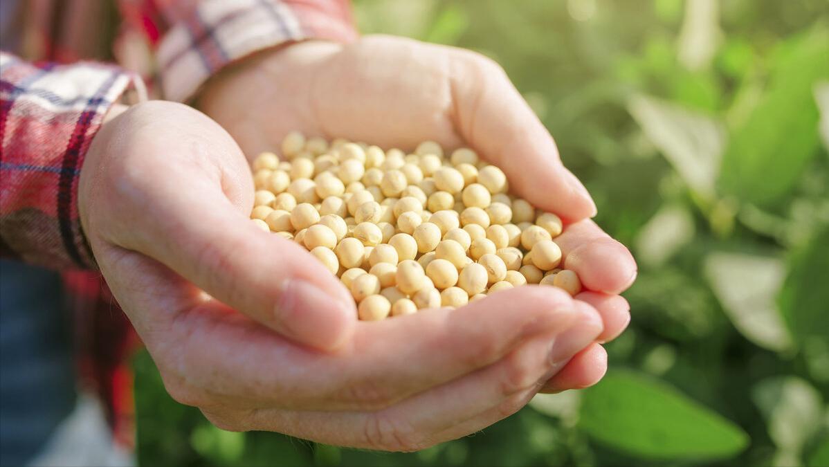 定调！国家宣布重要决定，透露3大风口行业，关键还有补贴扶持