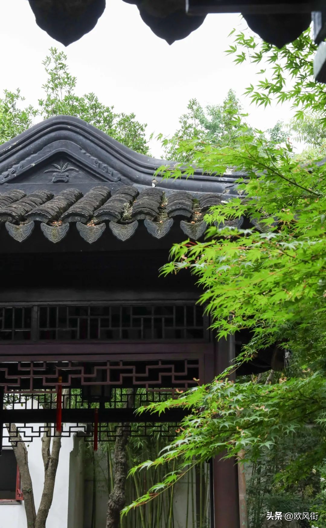 姑苏历史老街,姑苏区有哪些历史老街