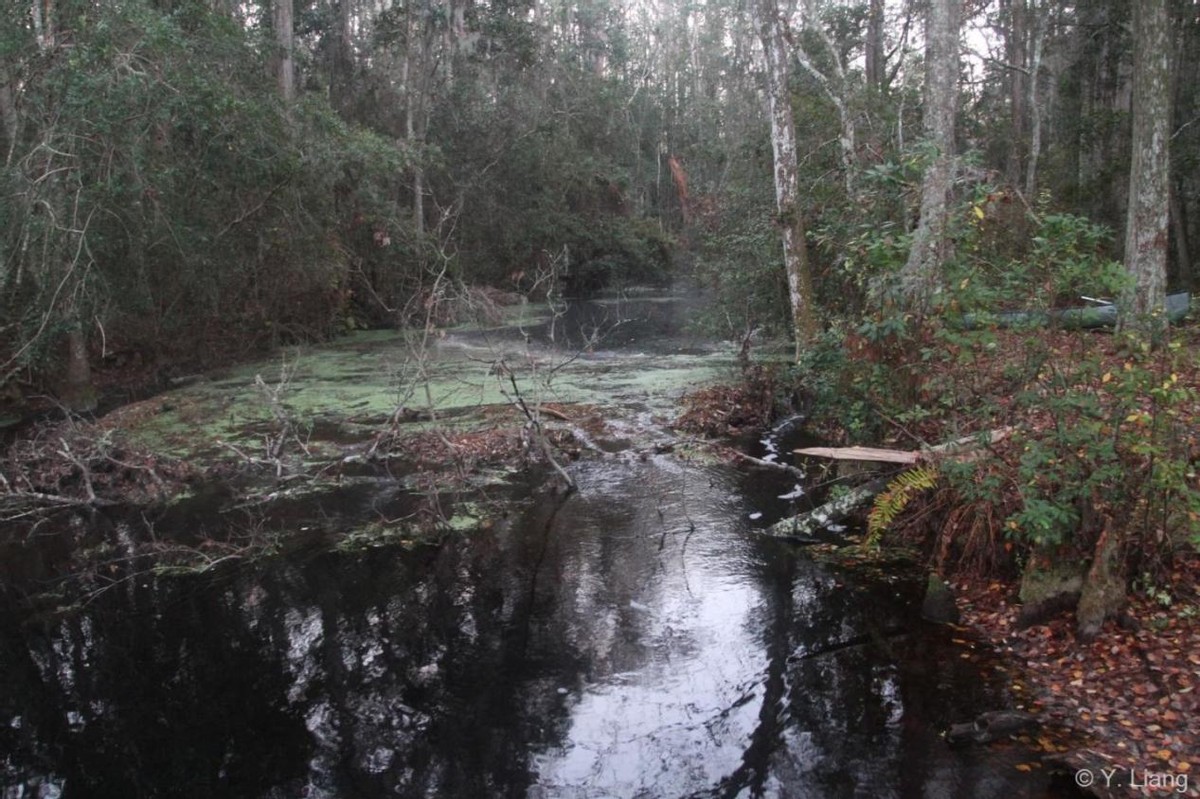 古代军队死伤率,古代军队征战云南