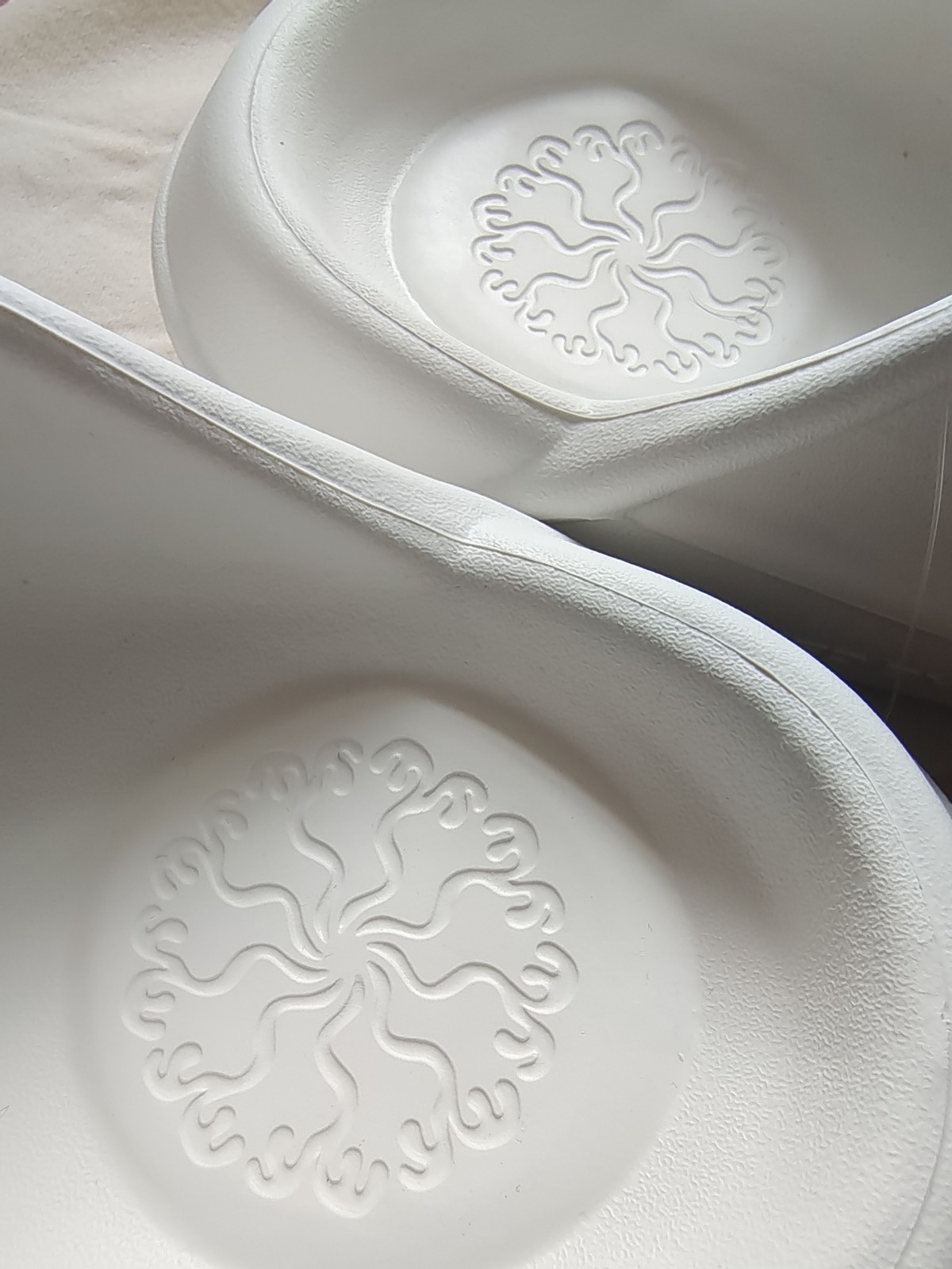 中国风的凉拖,带标志的特步凉拖