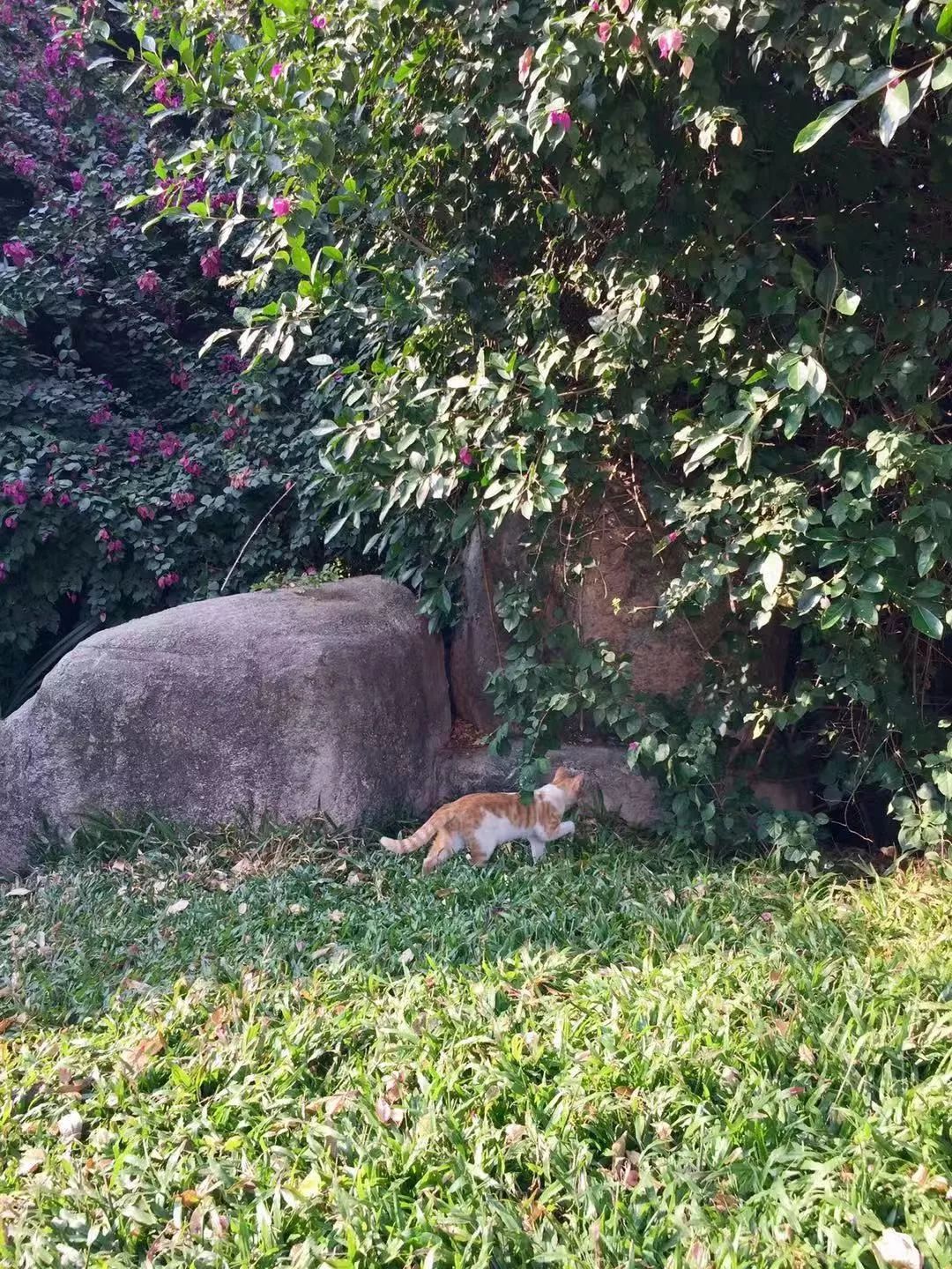 自驾深圳旅游攻略过年,自驾游深圳国庆攻略