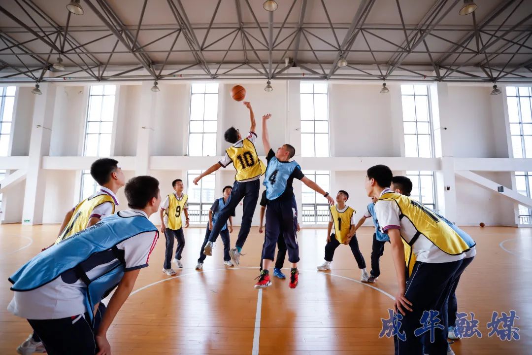 家长们看过来！小学vs初中有何不同？|成华融媒