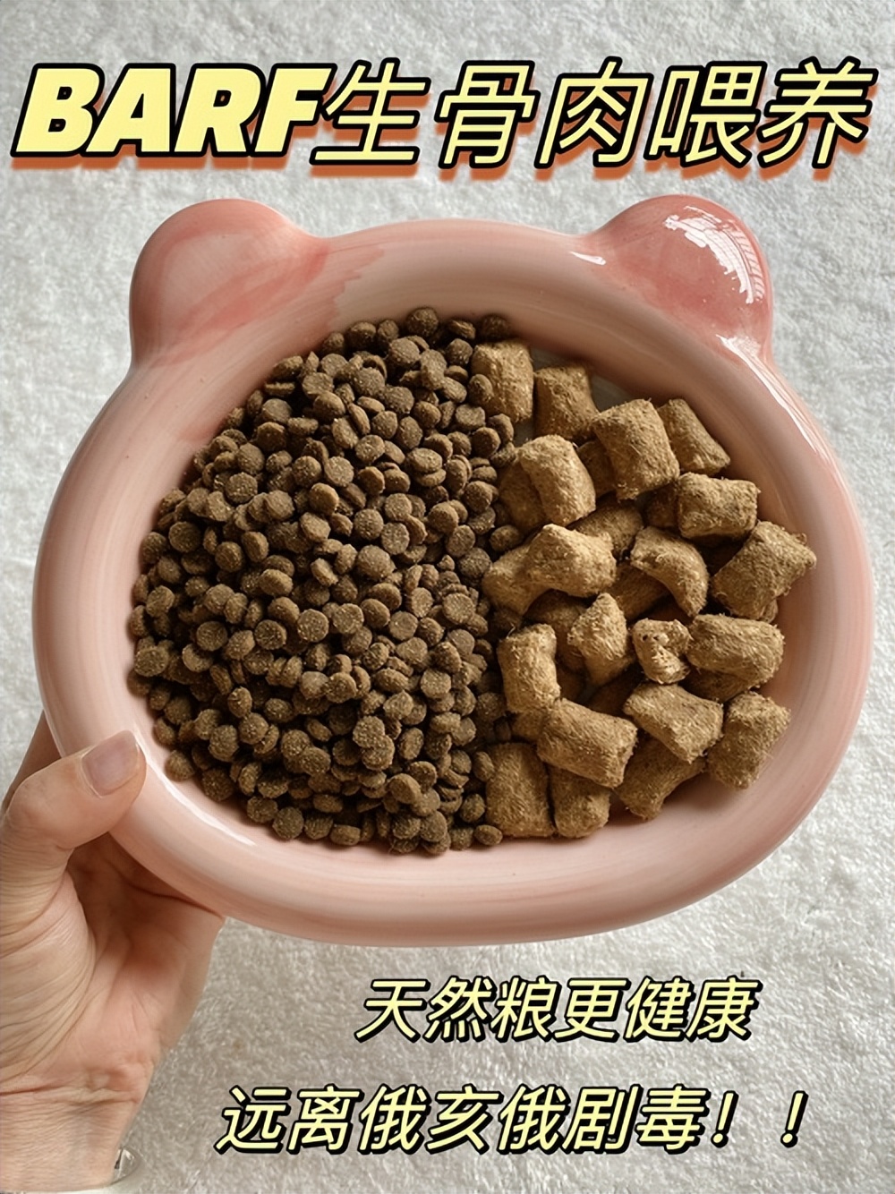 小猫不喝药怎么喂,未满月的小猫怎么喂羊奶粉