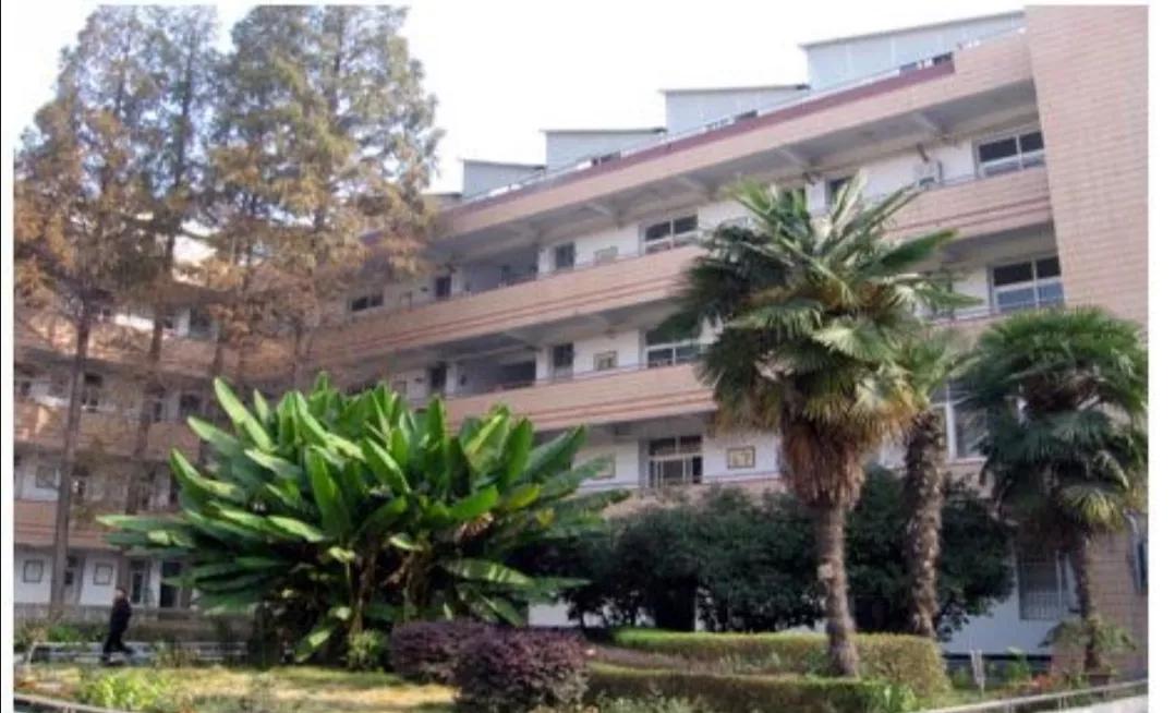 一个人读书时的回忆,一个人进入暮年时会有很多回忆