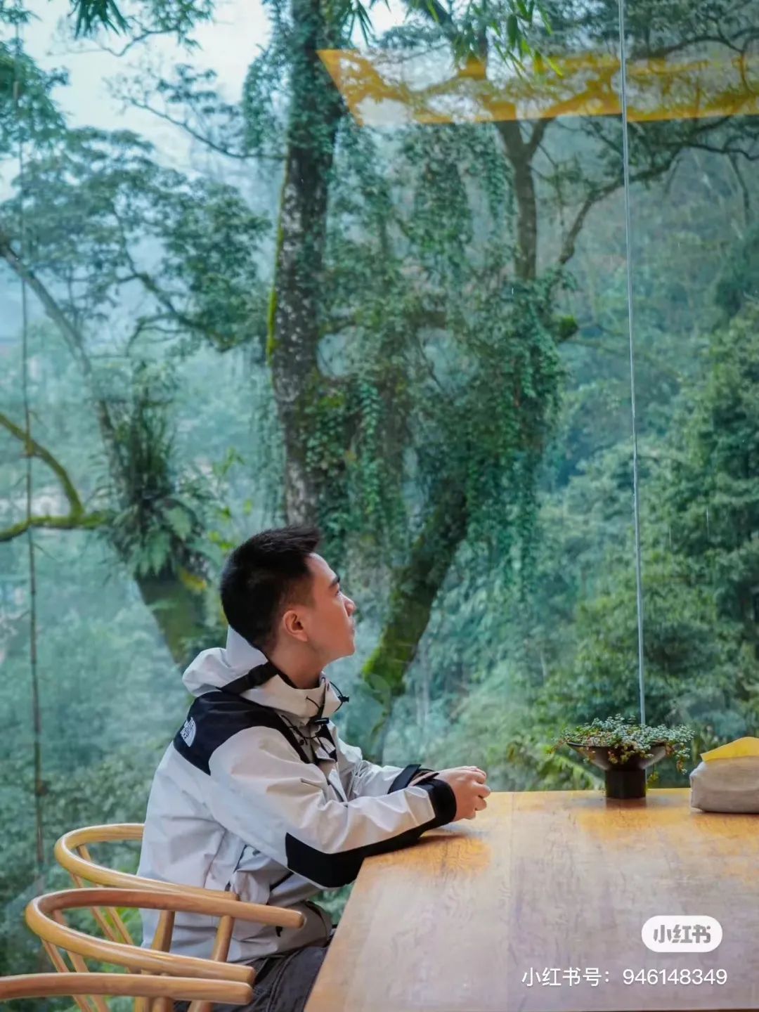 躲进山里民宿,躲在深山老林的民宿