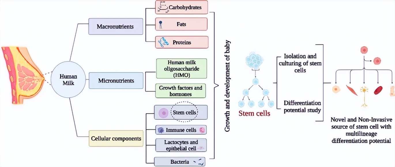 渐冻症腰椎手术报道,渐冻症患者寿命长的视频