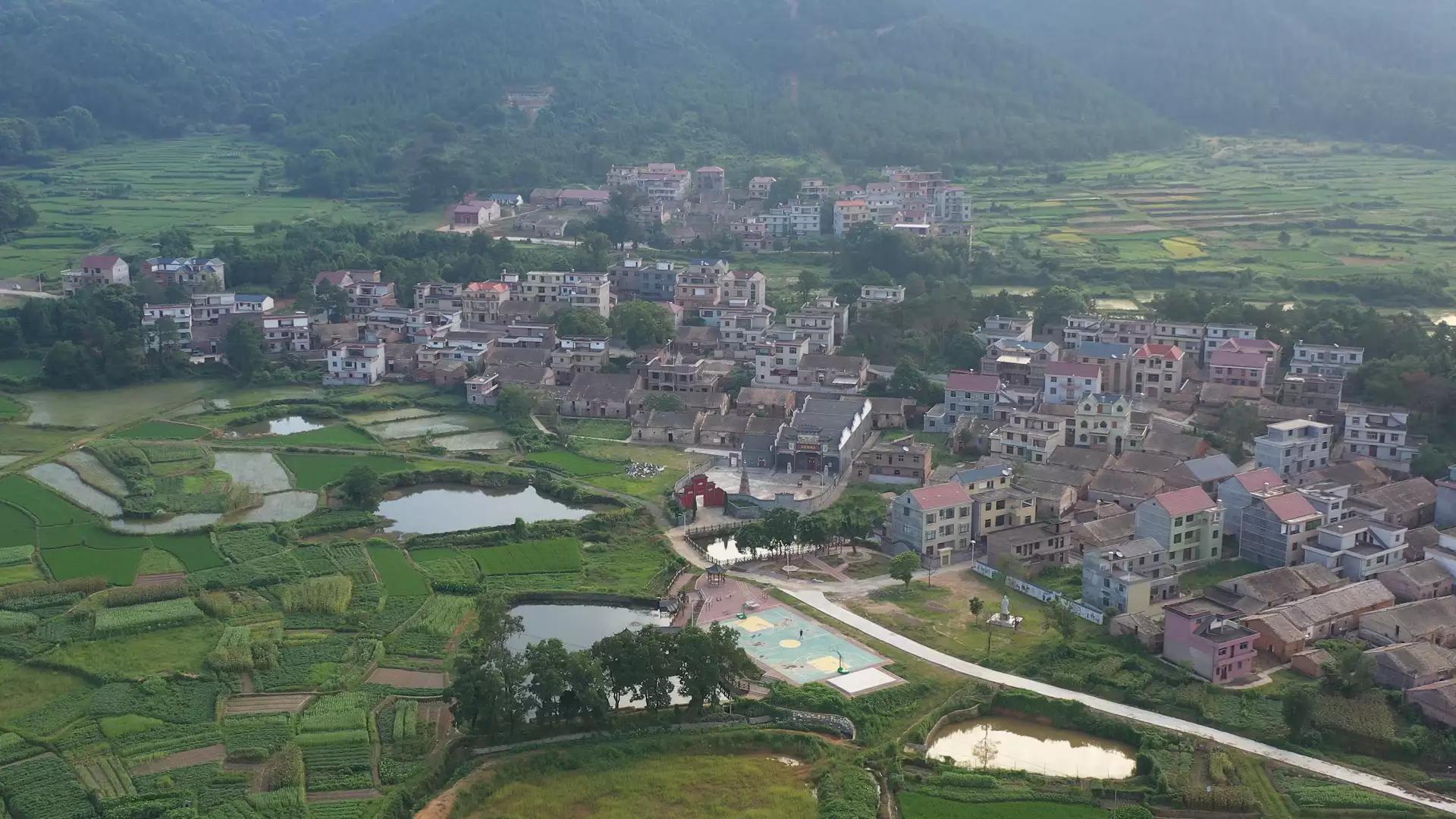 丝路名人：杰出外交家陈诚