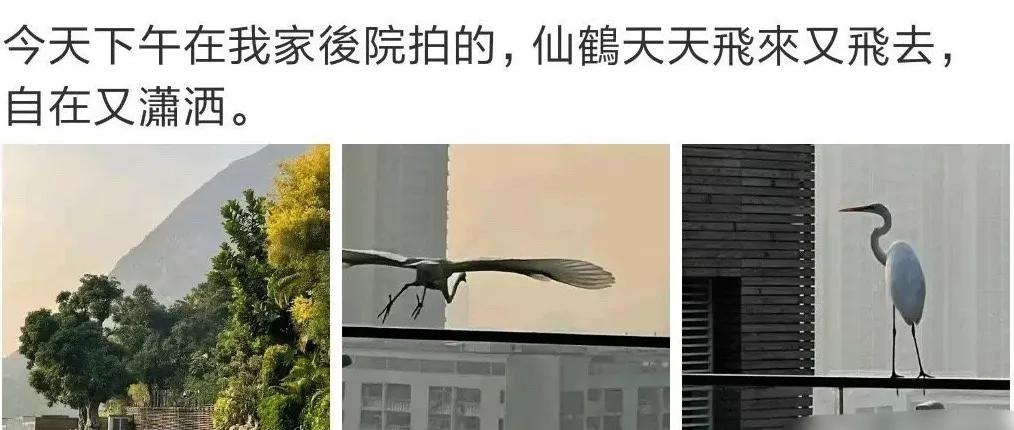 大明星住豪宅,大明星住的最贵的房子