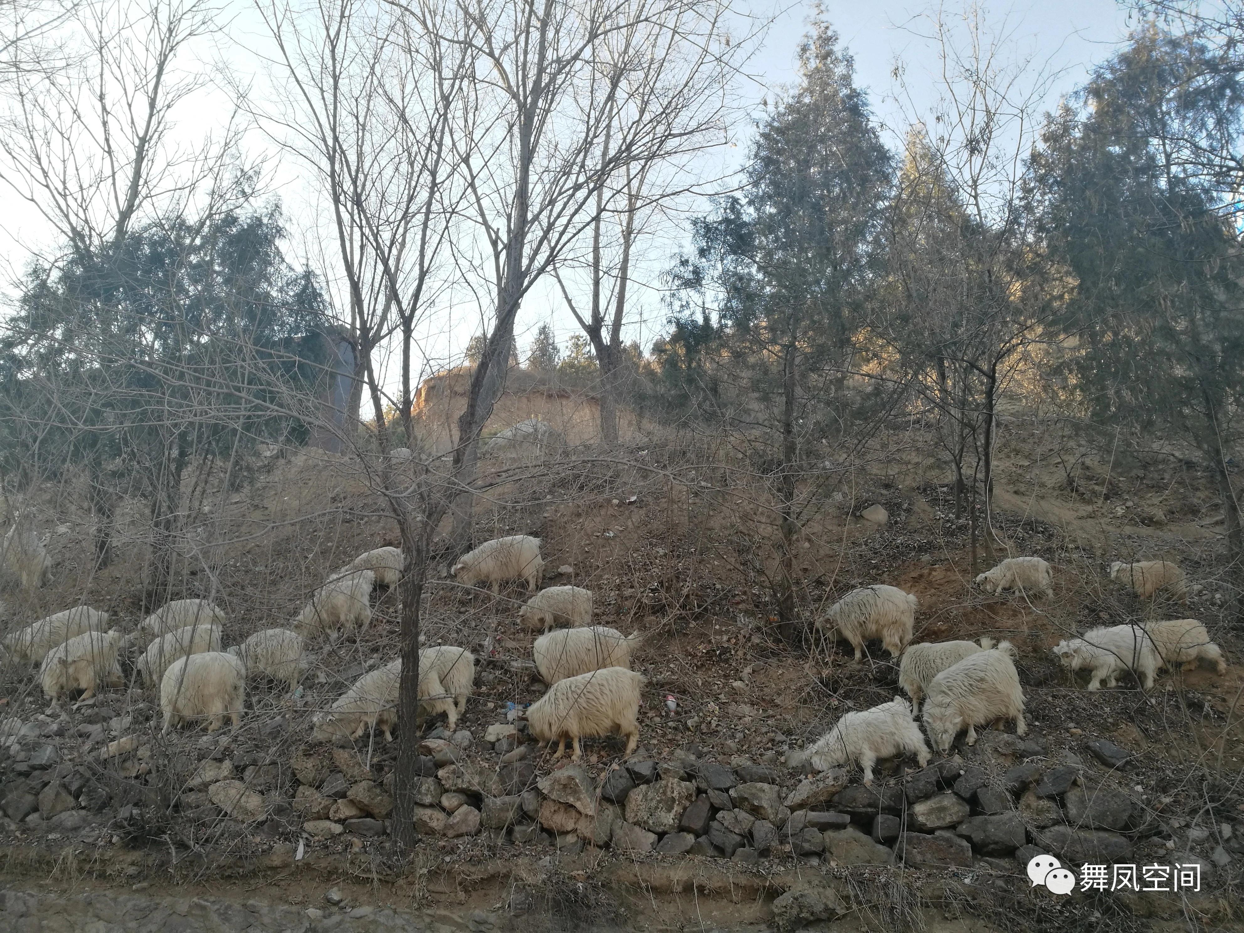 延庆柳沟豆腐宴,延庆柳沟豆腐宴目前接待游客吗