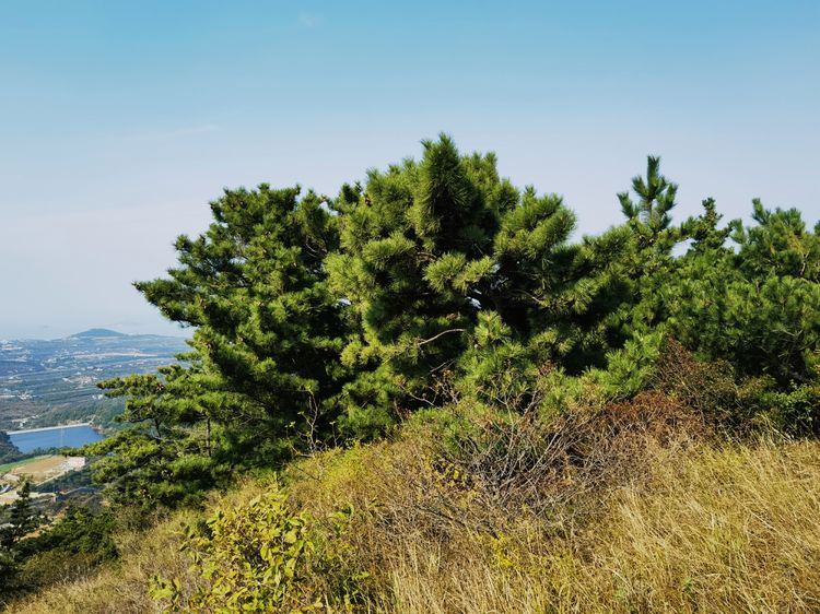 旅顺城山,旅顺城山怎么绕过去