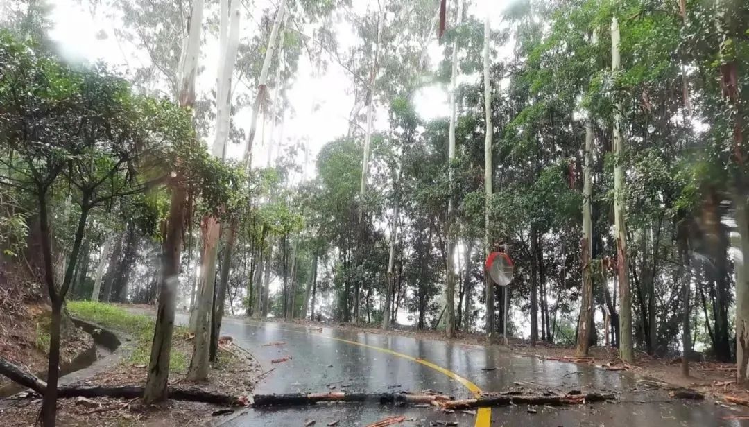 早安韶关|大降价！平均降价近50%！