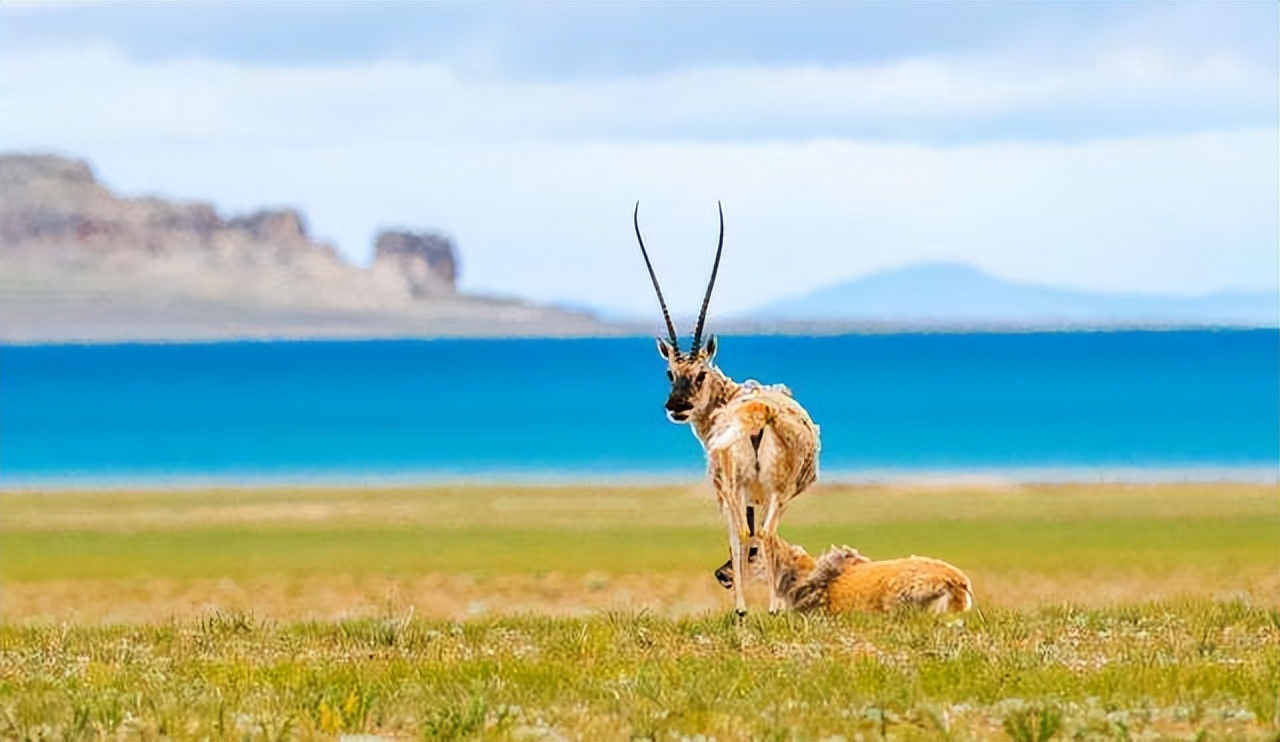 去西藏旅游和现实中西藏旅游,为什么想去西藏又去不了