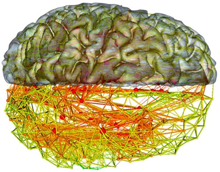 科学家让人类大脑进化,科学家是怎样研究人类大脑的