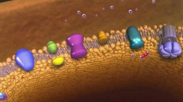 潜入深海寻找宝藏,潜入海底最深处你会发现什么