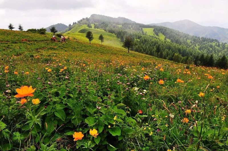 五一适合去的天然氧吧,感受天然氧吧的气息和美景