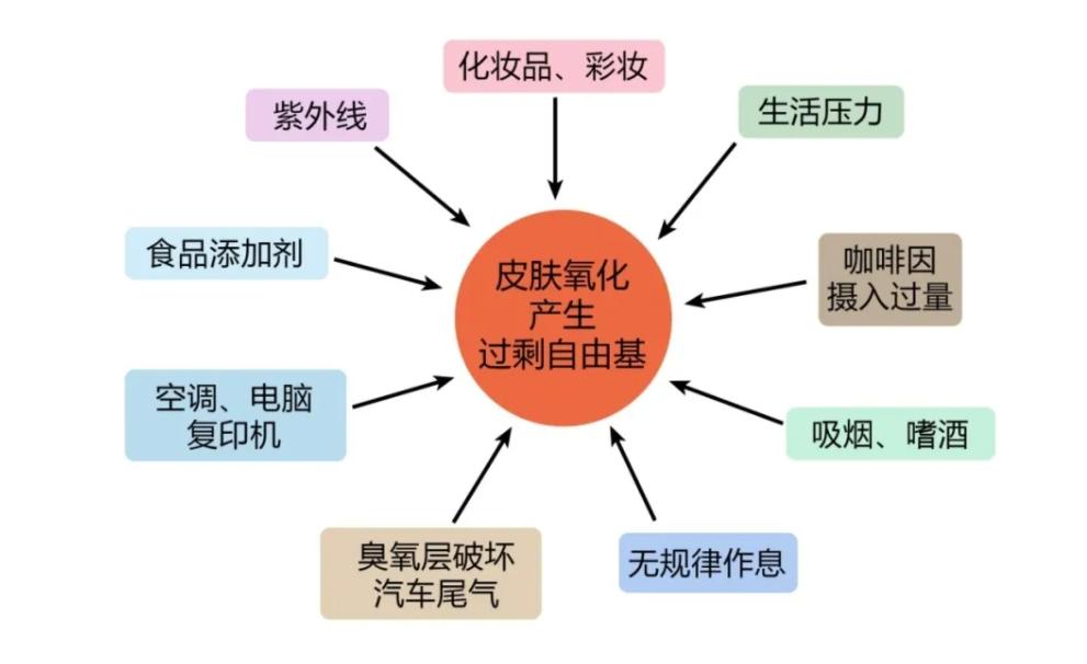 负氧离子为什么可以去除自由基,负氧离子是如何清除自由基