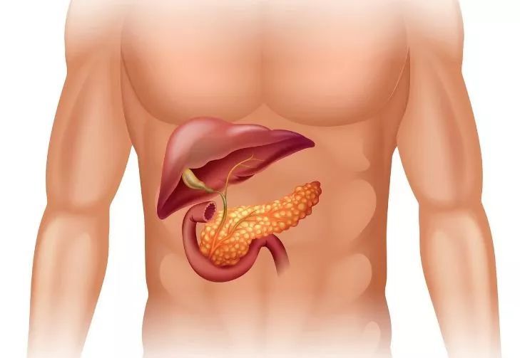 归脾汤治疗糖尿病,黄连温胆汤治疗糖尿病病例