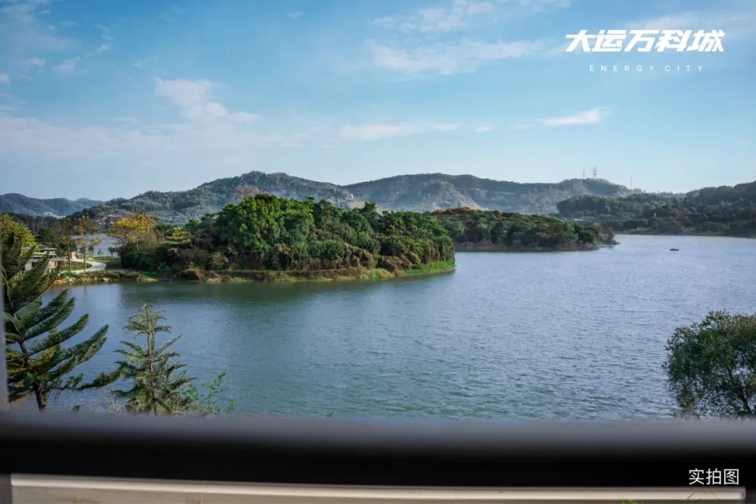 龙岗中心城潜力楼盘,龙岗中心城未来楼盘