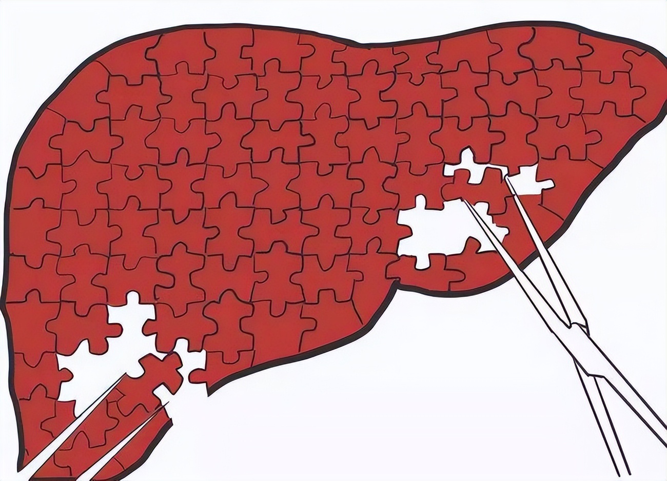 乙肝病毒携带者,乙肝病毒携带对身体有危害吗